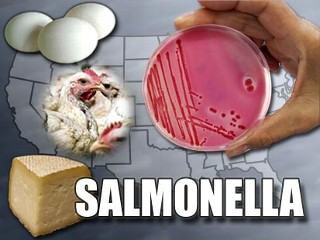 apg_salmonella.jpg